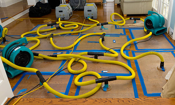 Professional Sewage Cleanup technician working in Oglesby, IL